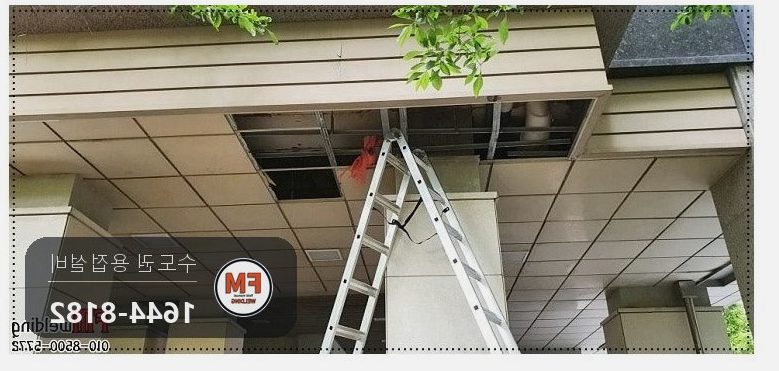 아파트 출입문 천장 동파이프 국소 공식누수 알곤 비드 육성