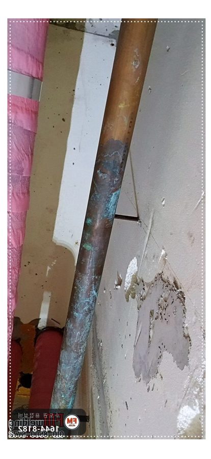 아파트 입구 천장 동배관 부식 핀홀 기공 누수 알곤 육성 보수