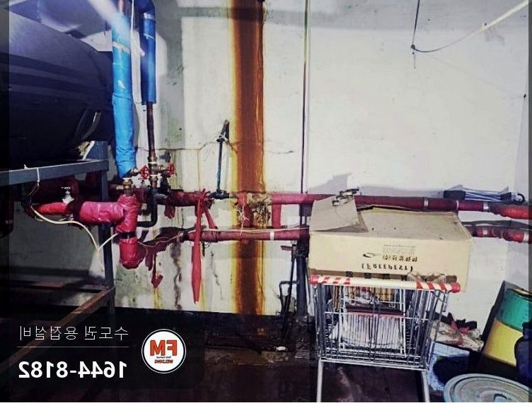 지하 기계실 물탱크 순환 온수 동배관 청녹 알곤 살올림 보수