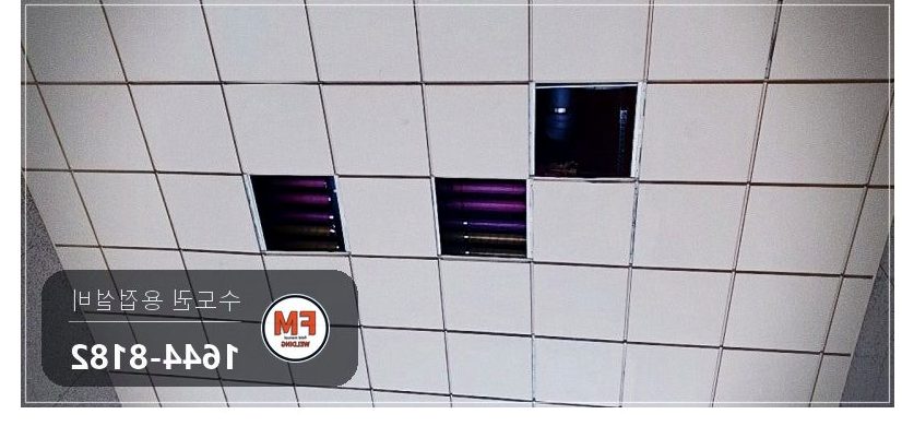 조적벽 5M 동파이프 L타입 교체 거울용접 보수